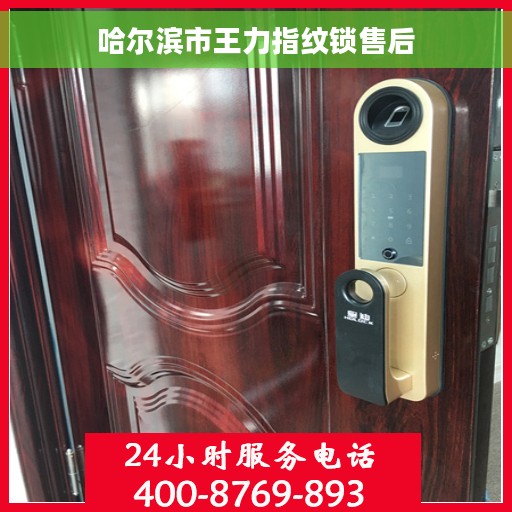 哈尔滨市王力指纹锁售后