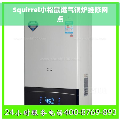 Squirrel小松鼠燃气锅炉维修网点