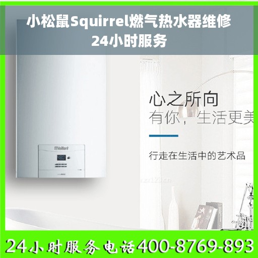 小松鼠Squirrel燃气热水器维修24小时服务