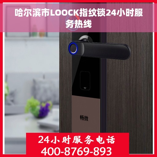 哈尔滨市LOOCK指纹锁24小时服务热线