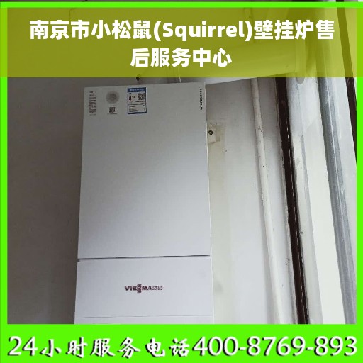 南京市小松鼠(Squirrel)壁挂炉售后服务中心
