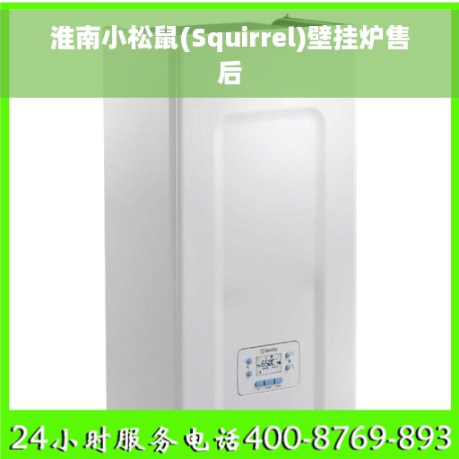 淮南小松鼠(Squirrel)壁挂炉售后