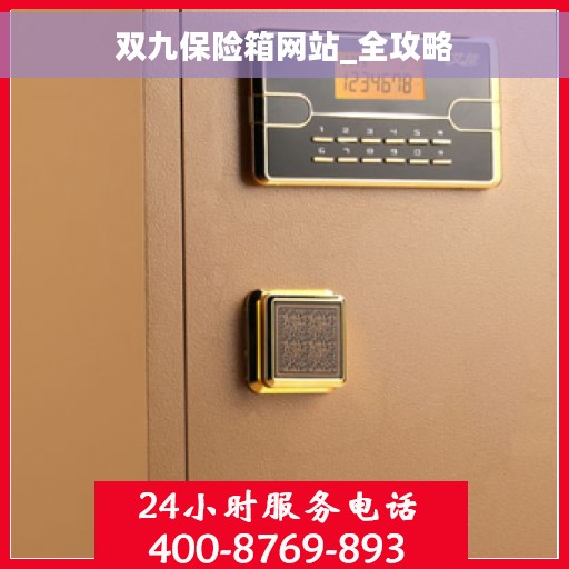 双九保险箱网站_全攻略