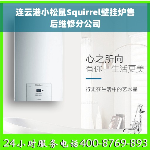 连云港小松鼠Squirrel壁挂炉售后维修分公司