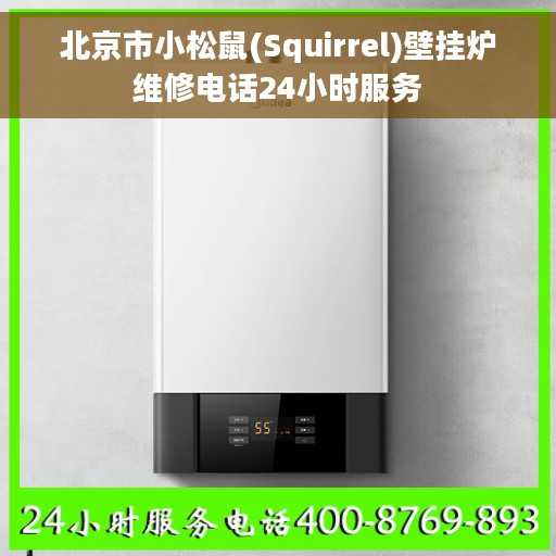 北京市小松鼠(Squirrel)壁挂炉维修电话24小时服务