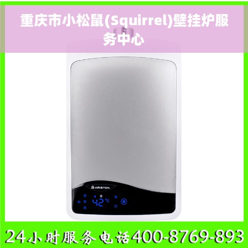 重庆市小松鼠(Squirrel)壁挂炉服务中心