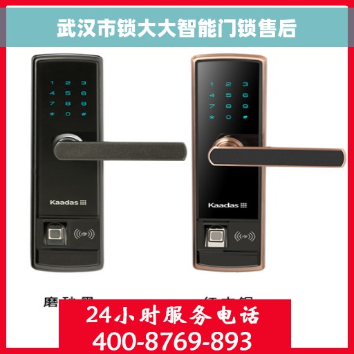武汉市锁大大智能门锁售后