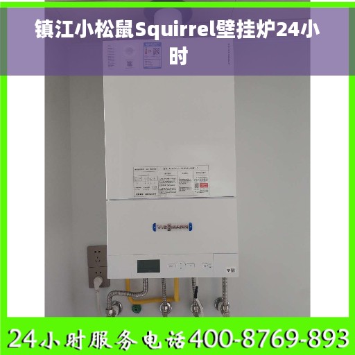 镇江小松鼠Squirrel壁挂炉24小时