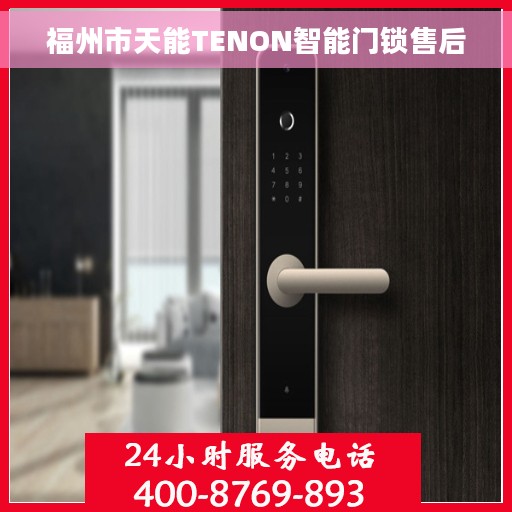 福州市天能TENON智能门锁售后