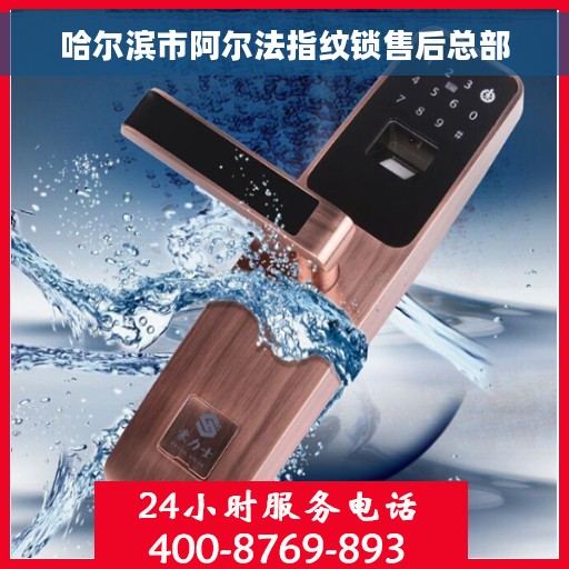 哈尔滨市阿尔法指纹锁售后总部
