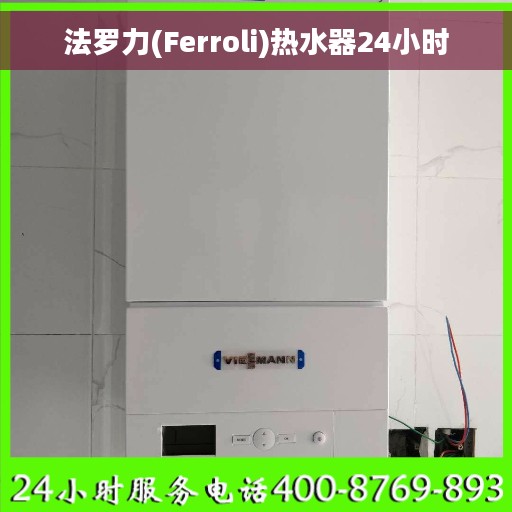 法罗力(Ferroli)热水器24小时