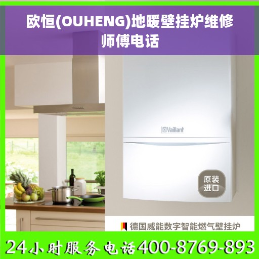 欧恒(OUHENG)地暖壁挂炉维修师傅电话