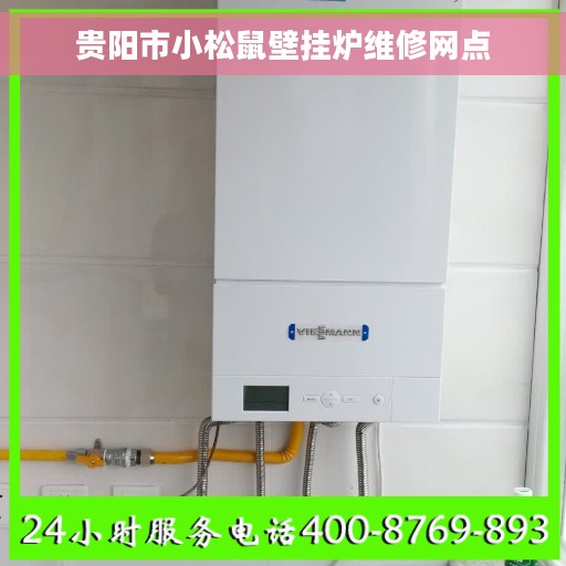 贵阳市小松鼠壁挂炉维修网点