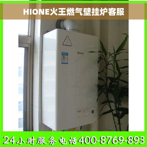 HIONE火王燃气壁挂炉客服