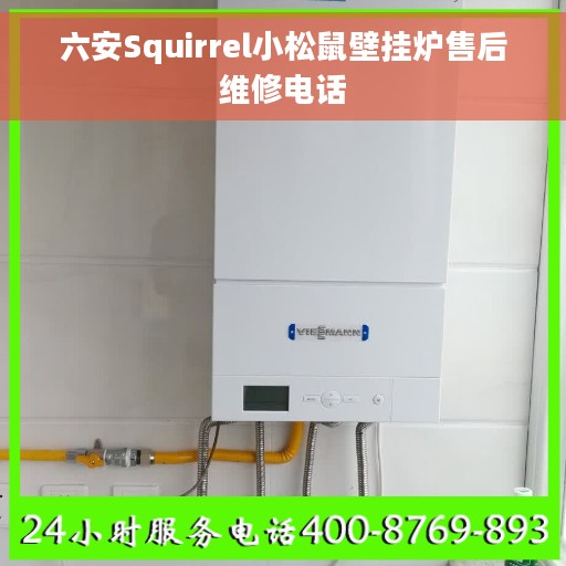 六安Squirrel小松鼠壁挂炉售后维修电话