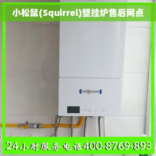 小松鼠(Squirrel)壁挂炉售后网点