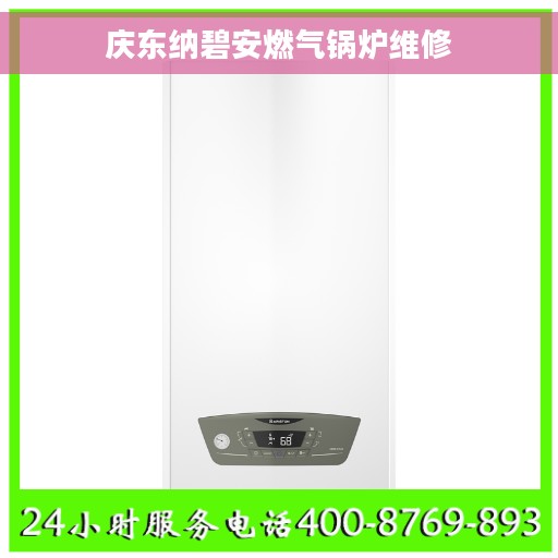 庆东纳碧安燃气锅炉维修