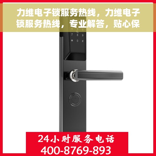力维电子锁服务热线，力维电子锁服务热线，专业解答，贴心保障