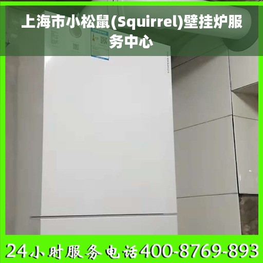 上海市小松鼠(Squirrel)壁挂炉服务中心