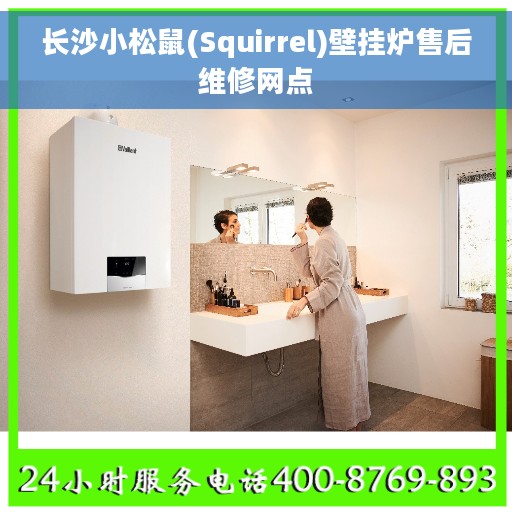 长沙小松鼠(Squirrel)壁挂炉售后维修网点