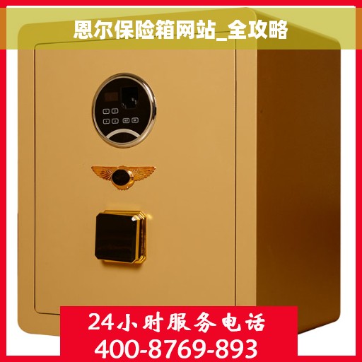 恩尔保险箱网站_全攻略 恩尔保险箱网站_全攻略