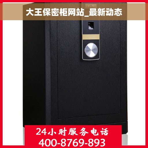 大王保密柜网站_最新动态