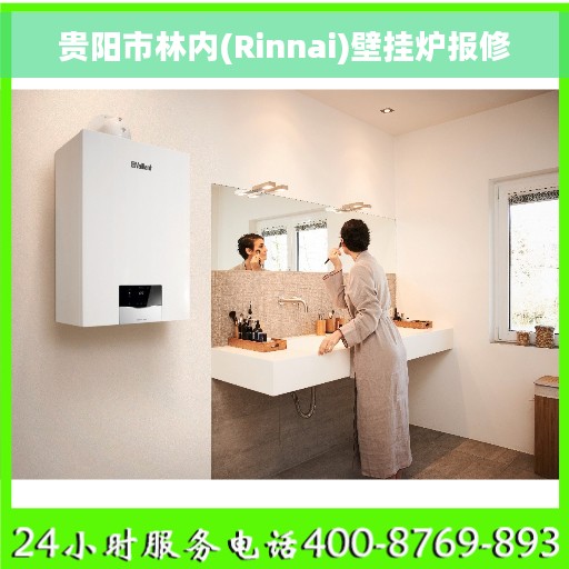贵阳市林内(Rinnai)壁挂炉报修