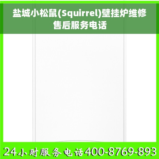 盐城小松鼠(Squirrel)壁挂炉维修售后服务电话