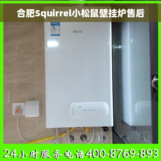 合肥Squirrel小松鼠壁挂炉售后