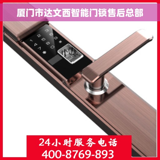 厦门市达文西智能门锁售后总部