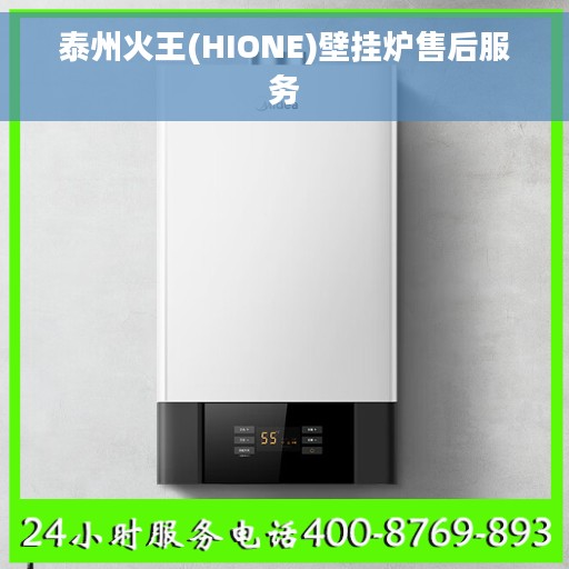 泰州火王(HIONE)壁挂炉售后服务