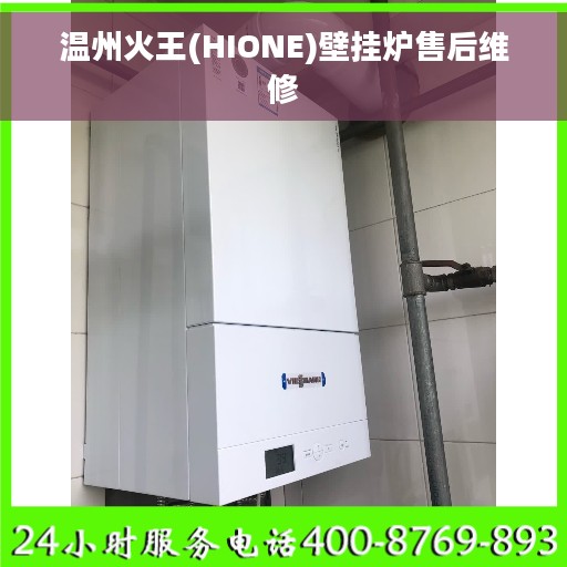 温州火王(HIONE)壁挂炉售后维修