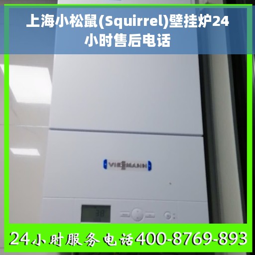 上海小松鼠(Squirrel)壁挂炉24小时售后电话