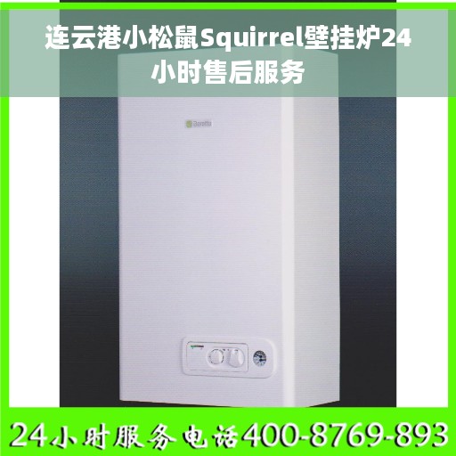 连云港小松鼠Squirrel壁挂炉24小时售后服务 连云港小松鼠Squirrel壁挂炉24小时售后服务