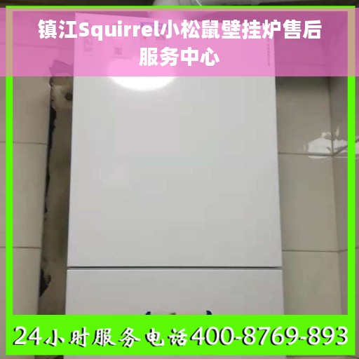 镇江Squirrel小松鼠壁挂炉售后服务中心