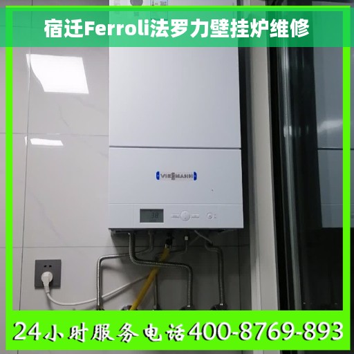宿迁Ferroli法罗力壁挂炉维修