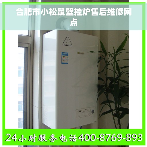 合肥市小松鼠壁挂炉售后维修网点