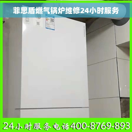菲思盾燃气锅炉维修24小时服务