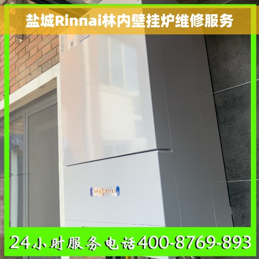 盐城Rinnai林内壁挂炉维修服务 盐城Rinnai林内壁挂炉维修服务