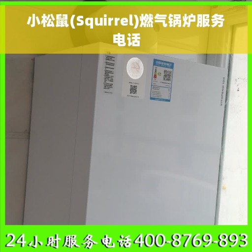 小松鼠(Squirrel)燃气锅炉服务电话