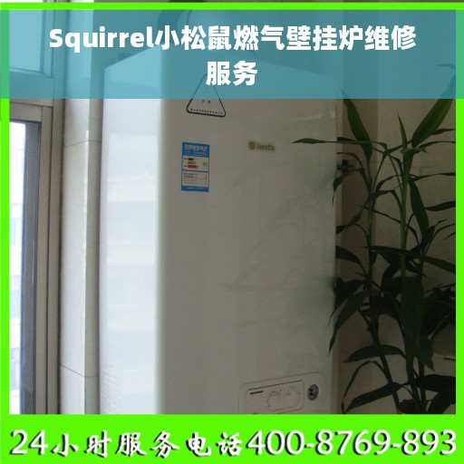Squirrel小松鼠燃气壁挂炉维修服务