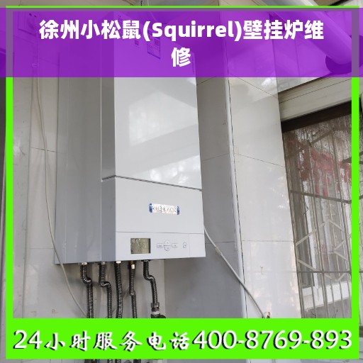 徐州小松鼠(Squirrel)壁挂炉维修