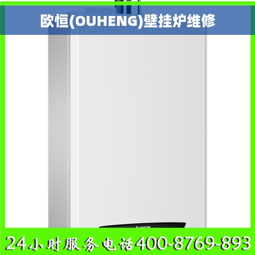 欧恒(OUHENG)壁挂炉维修