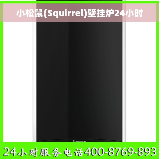 小松鼠(Squirrel)壁挂炉24小时