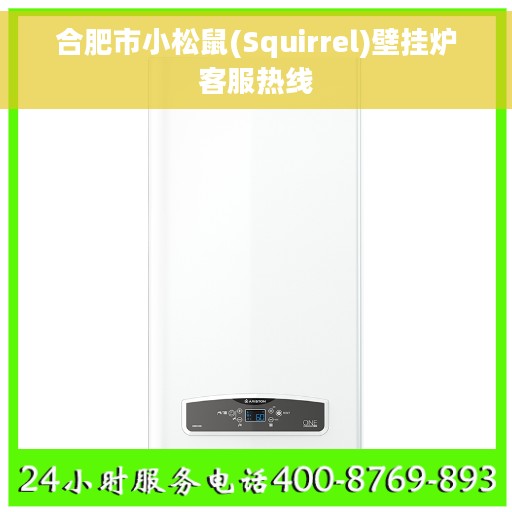 合肥市小松鼠(Squirrel)壁挂炉客服热线