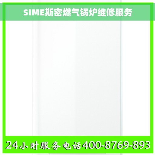 SIME斯密燃气锅炉维修服务