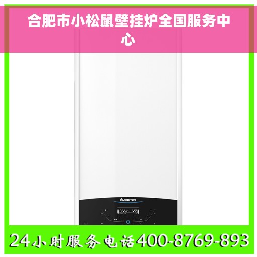 合肥市小松鼠壁挂炉全国服务中心