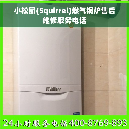 小松鼠(Squirrel)燃气锅炉售后维修服务电话