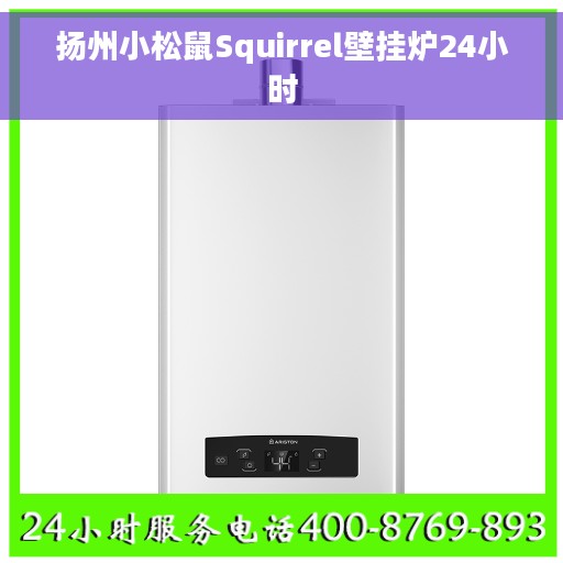 扬州小松鼠Squirrel壁挂炉24小时 扬州小松鼠Squirrel壁挂炉24小时