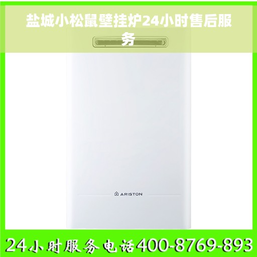盐城小松鼠壁挂炉24小时售后服务